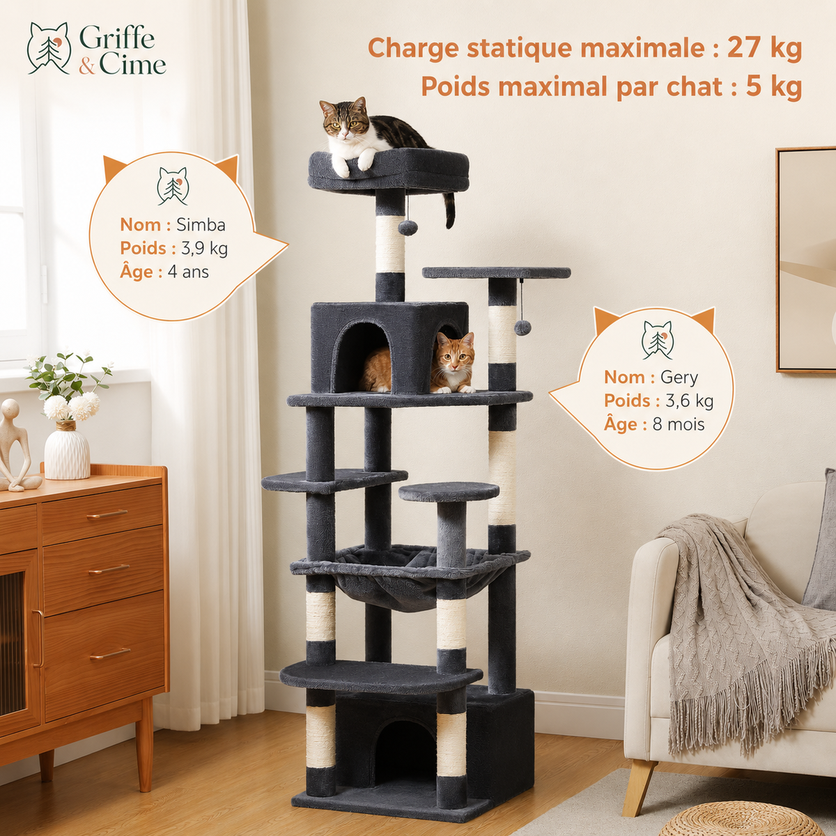 Altitude gris anthracite : charge statique maximale 27 kg, 5 kg maximum par chat