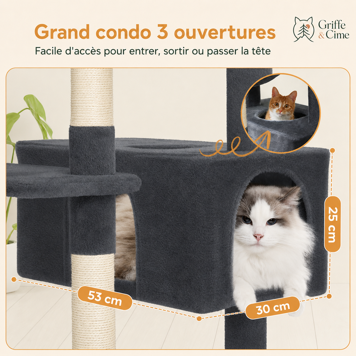 Niche d’Altitude gris anthracite, un chat à l’entrée