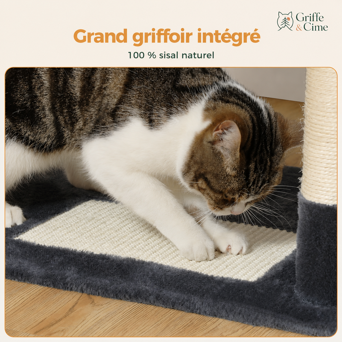 Griffoir intégré en sisal naturel à la base d’Altitude