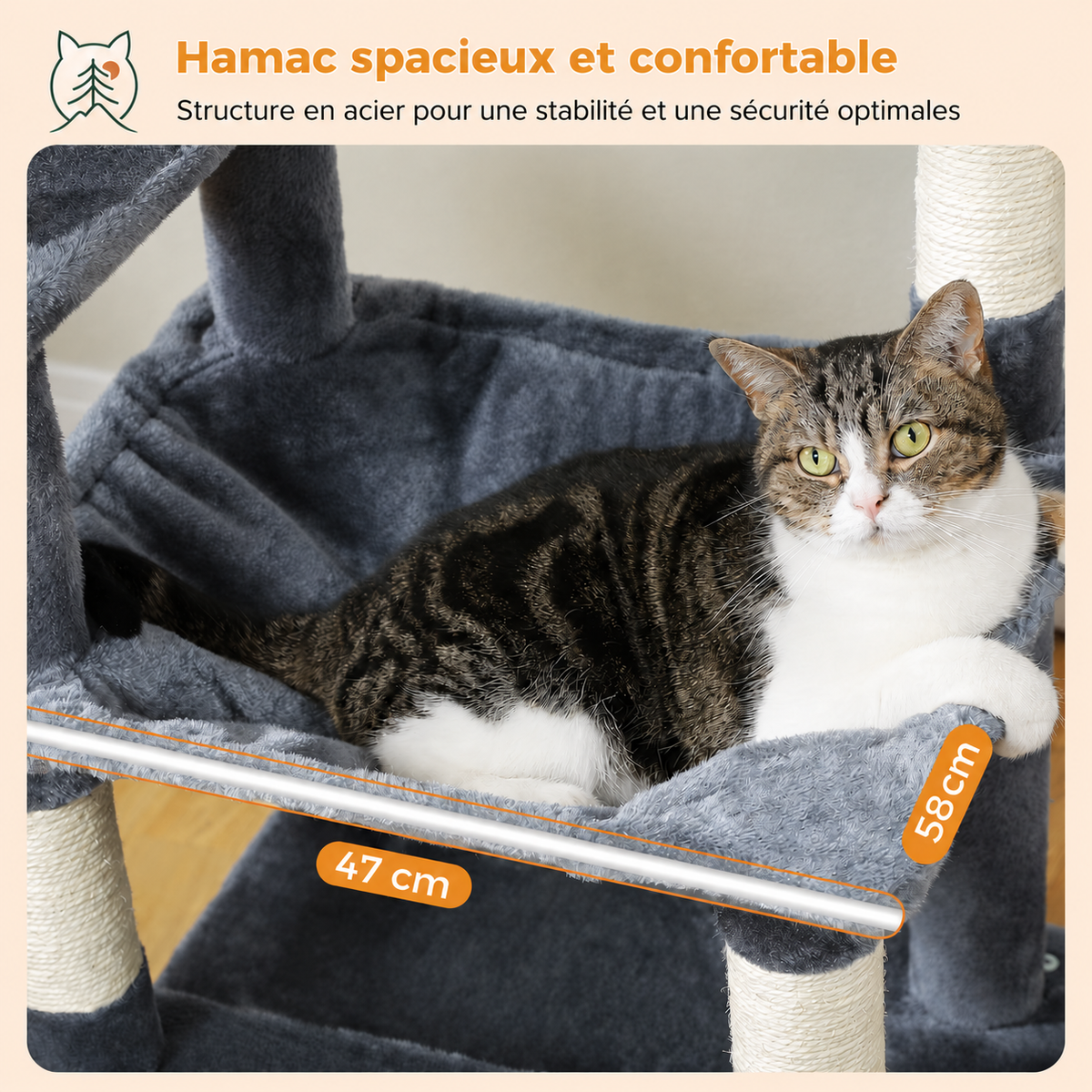Chat allongé dans le hamac d’Altitude