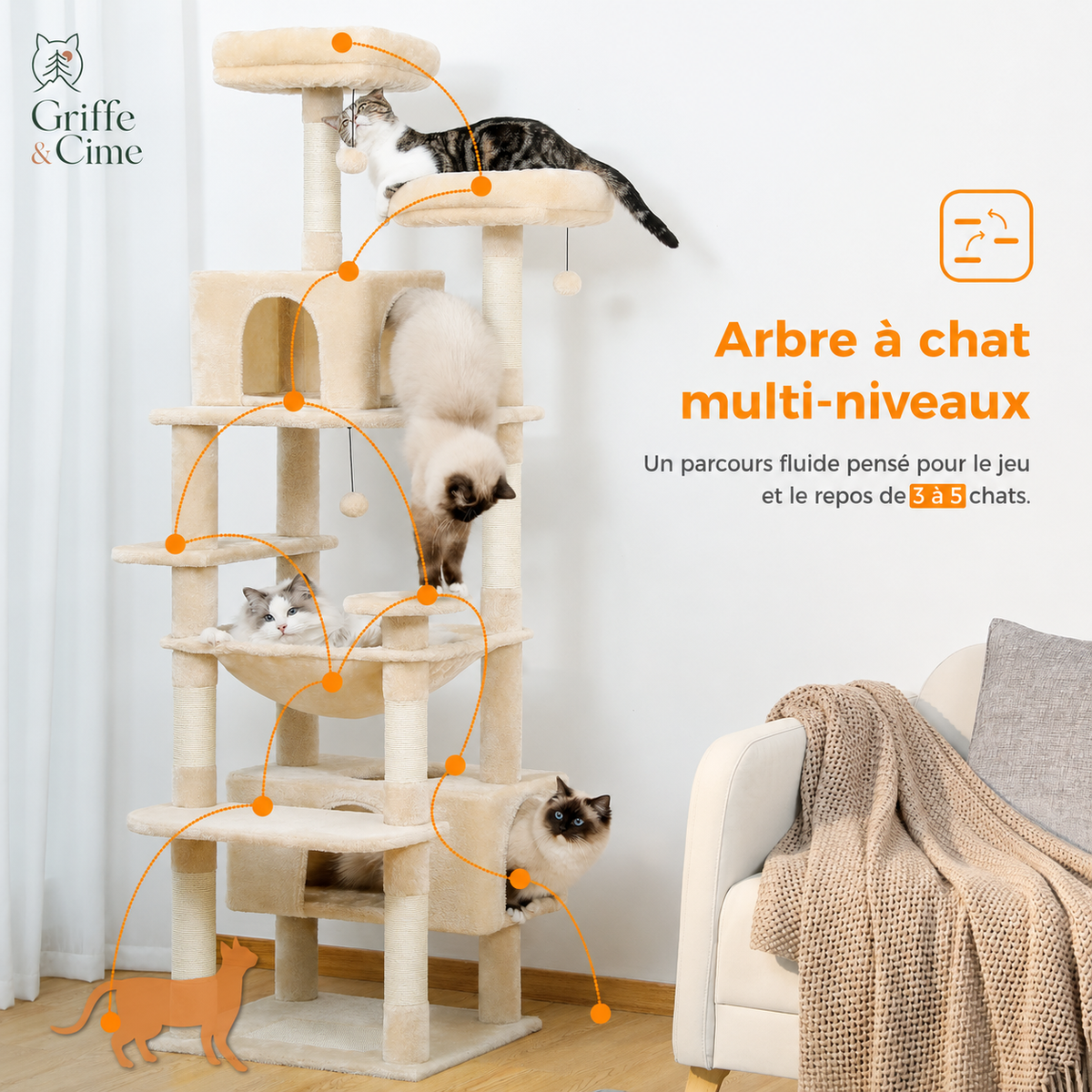 Parcours multi-niveaux d’Altitude beige, chats passant d’une plateforme à l’autre