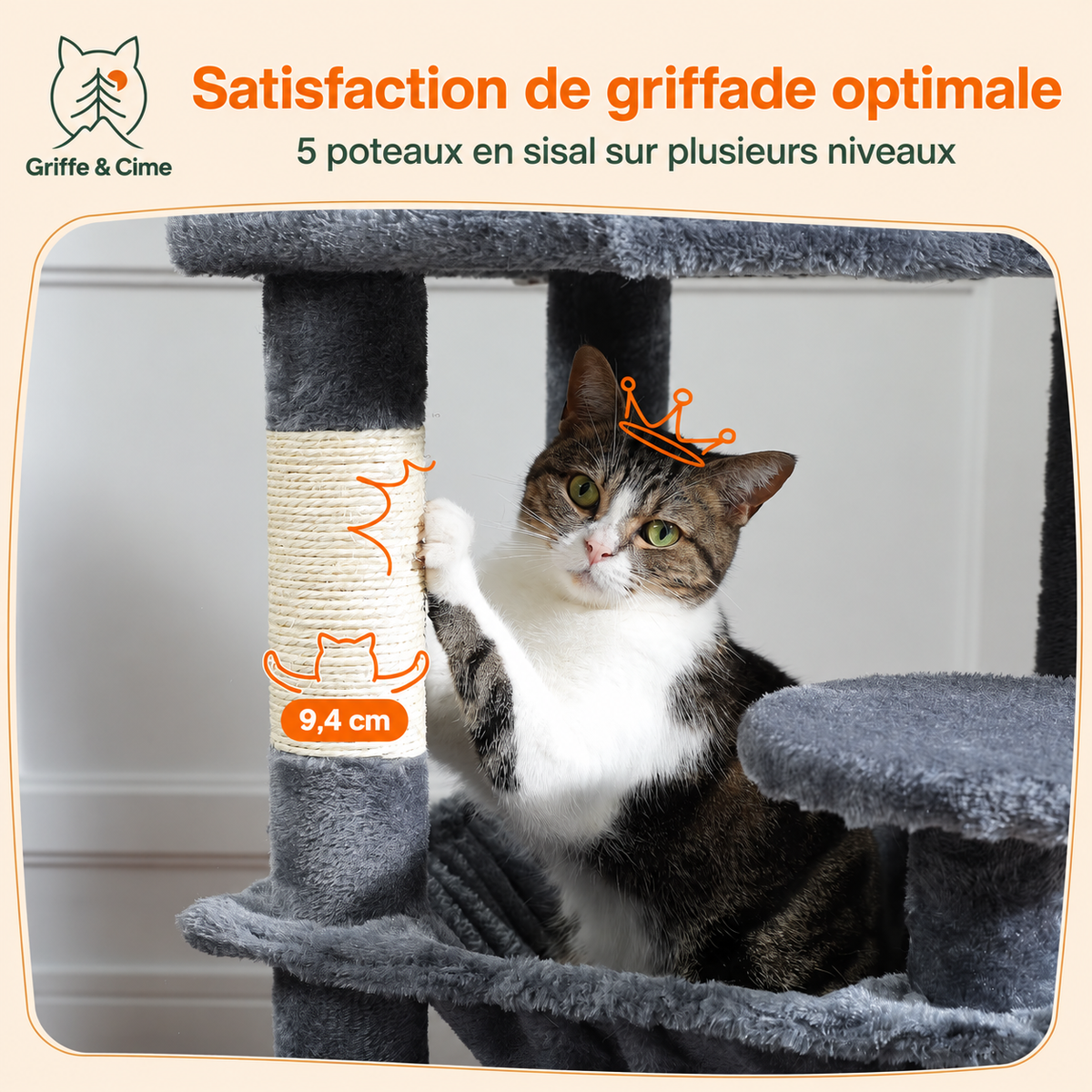 Chat se faisant les griffes sur un poteau en sisal d’Altitude