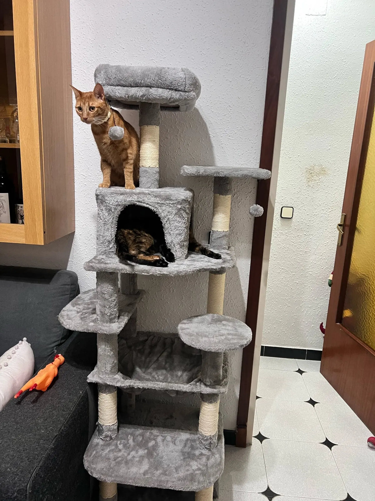 Chat bengal au sommet d’un arbre à chat Altitude gris, un autre chat dans la niche