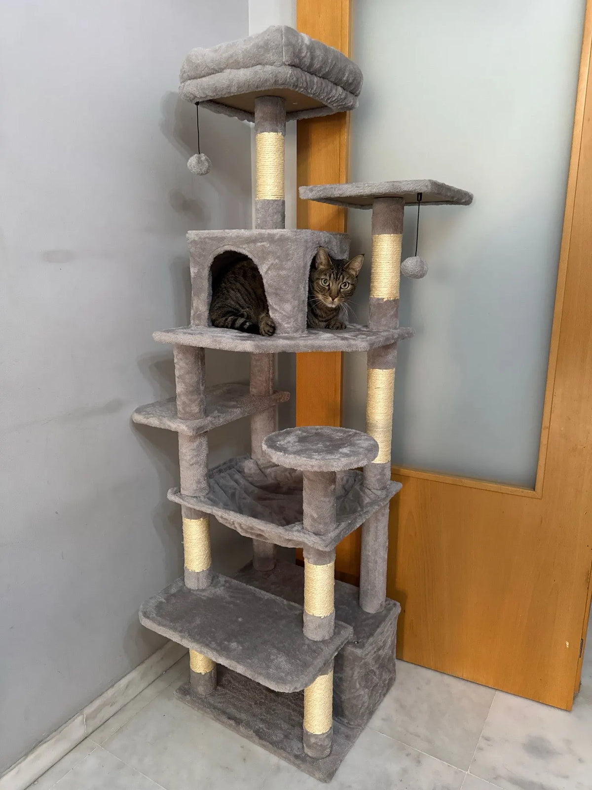 Arbre à chat Altitude gris clair chez un client, un chat dans la niche
